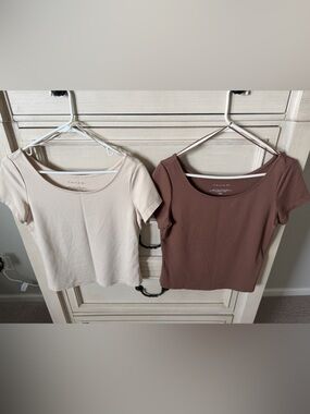 Tahari Short Sleeve Scoop Neck Tops in Cream and Brown
